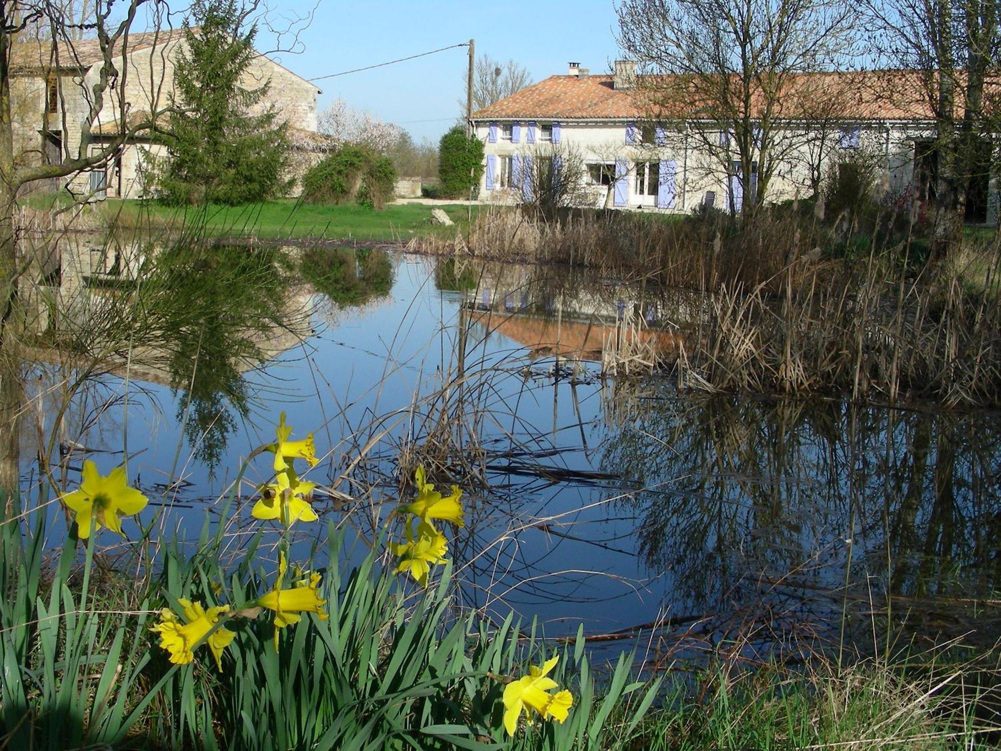 Chambres D'Hotes Entre Niort Et Marais Poitevin Bessines Zewnętrze zdjęcie